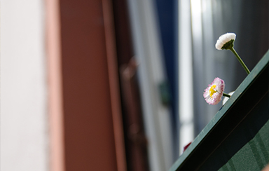 Foto: 163724, Thomas Ruppel Quelle: Photocase.com